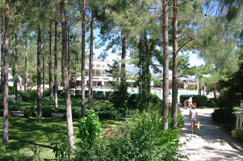 Club Zigana Hotel Beldibi  Ngoại thất bức ảnh